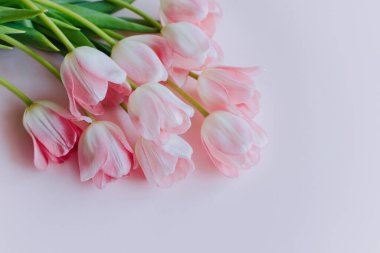 Güzel bir buket pembe pastel lale çiçeği. Yakın plan. Metin için yer.