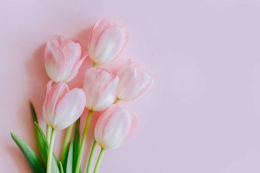 Pembe arka planda güzel bir buket pembe pastel lale çiçeği. Metin için yer.