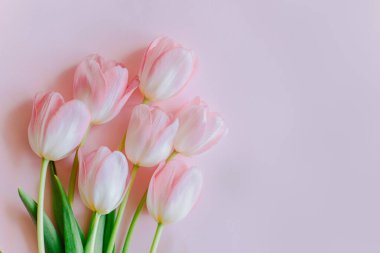 Güzel bir buket pembe pastel lale çiçeği. Metin için yer.