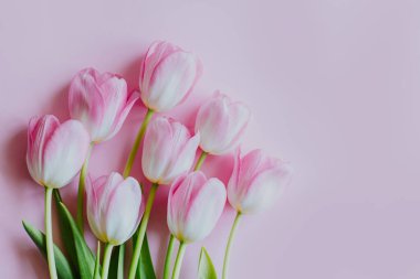 Güzel bir buket pembe pastel lale çiçeği. Metin için yer.