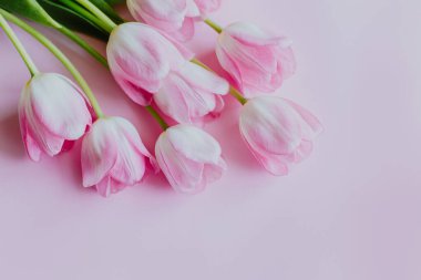 Güzel bir buket pembe pastel lale çiçeği. Metin için yer.