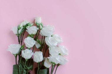 Pastel arka planda güzel beyaz Eustoma (Lisianthus) çiçekleri. Metin için yer.