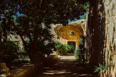 Hırvatistan 'ın Dubrovnik kenti yakınlarındaki Lokrum adasındaki eski parkın muhteşem manzarası. Hırvatistan 'da seyahat hedefi.