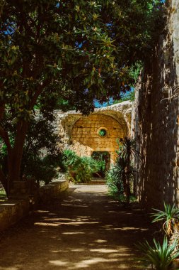 Hırvatistan 'ın Dubrovnik kenti yakınlarındaki Lokrum adasındaki eski parkın muhteşem manzarası. Hırvatistan 'da seyahat hedefi.
