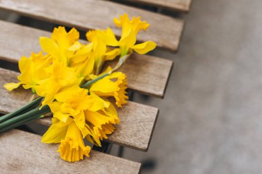 Güzel sarı nergis çiçekleri (narcissus) bir sokak kafesindeki ahşap bir masanın üzerinde. Metin için yer.