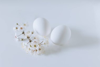 Beyaz arka planda beyaz çiçekli ve yumurtalı güzel bir dal. Minimum konsept. Metin için yer.