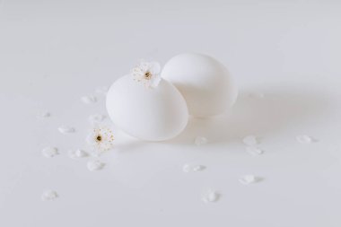 Beyaz arka planda güzel beyaz çiçekler ve yumurtalar. Minimum konsept. Metin için yer.