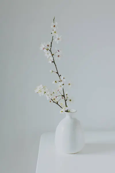 Beautiful blossom branches in a vase on a white background. Spring minimalistic concept. Place for text.