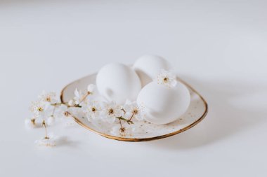 Beyaz arka planda beyaz çiçekli ve yumurtalı güzel bir dal. Minimum konsept. Metin için yer.