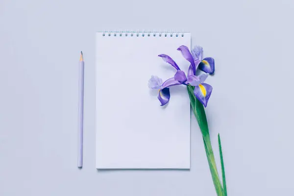 Cuaderno Con Página Blanco Lápiz Flor Iris Púrpura Sobre Fondo Fotos De Stock