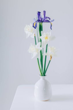 Daffodil (narsis) buketi ve Iris çiçekleri beyaz bir masanın üzerinde vazoda. Metin için yer.