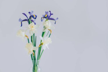 Daffodil (narsis) buketi ve Iris çiçekleri beyaz bir masanın üzerinde vazoda. Metin için yer.