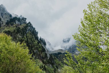 Karadağ 'ın Prokletije kentindeki dağların muhteşem manzarası. Doğa arkaplanı.
