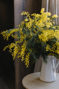 Güzel Mimosa çiçekleri masa sıcak ev atmosferinde beyaz bir kavanozda. Seçici odak.