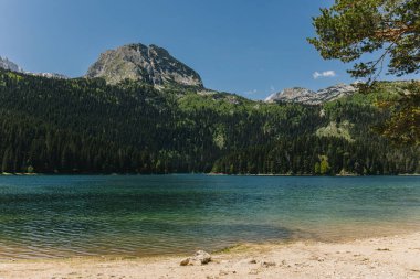 Karadağ 'ın Durmitor Ulusal Parkı' ndaki Kara Göl manzarası bir yaz günü muhteşemdi. Karadağ 'da seyahat hedefi.