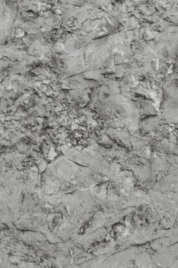 Gri Taş Doku veya Tek Renkli Arkaplan. Siyah beyaz arka plan. Yakın plan..