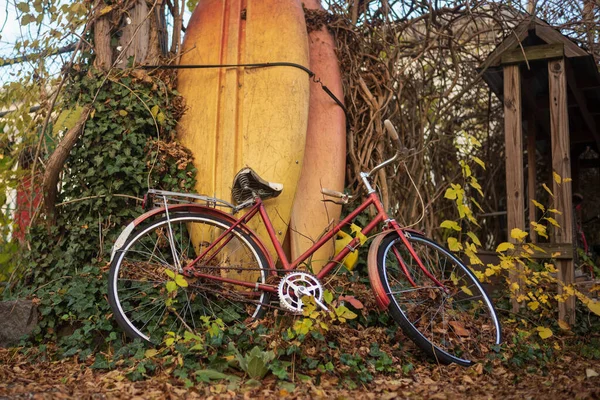 Vintage Red Bicycle Two Yellow Orange Paddle Boards Rest Tree — Stock Photo, Image