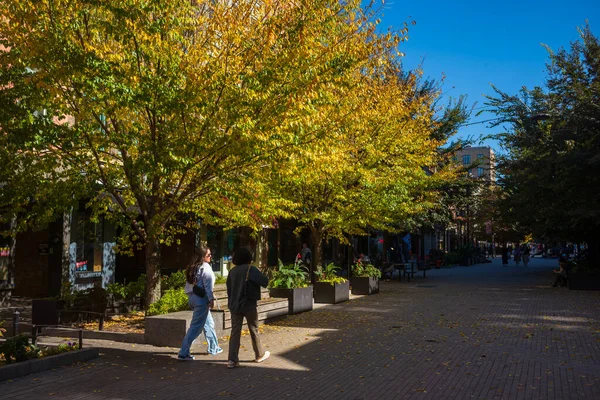 Ithaca, New York, ABD - 24 Ekim 2022: The Downtown Ithaca Commons, burada sonbahar sezonu boyunca görülen dört blokluk, benzersiz mağazalar ve restoranlar için yayalara özel bir evdir. Müşteriler yaprağın altında yürür..