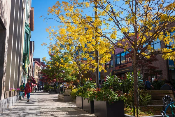 Ithaca Usa Oct 2022 Downtown Ithaca Commons Seen Here Autumn Royalty Free Stock Images