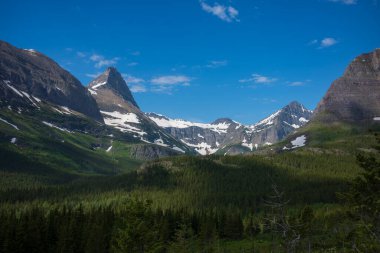 The view of the Iceberg Lake Trail at Glacier National Park, Montana where hikers needed to walk across a narrow path across two glaciers to complete the journey and view a valley of pine trees. 