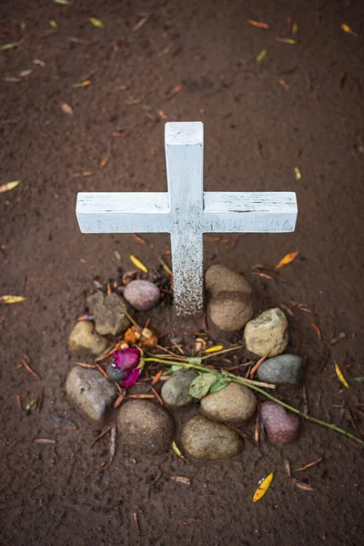 Unmarked Grave Found San Diego California Graveyard Displayed Decomposing Rose — Stock Photo, Image