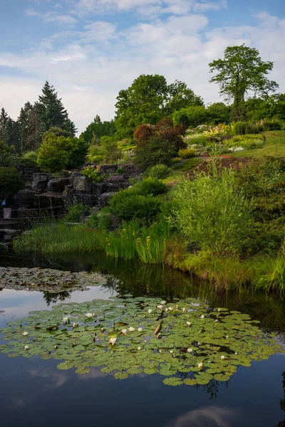 Botanisk Hage Est Ancien Jardin Botanique Norvège Une Oasis Libre — Photo