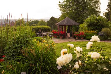 Oslo, Norveç, 20 Haziran 2023: Botanik Bahçesi (Botanik Bahçesi) Norveç 'in en eski botanik bahçesi, özgür bir vaha ve şehrin gürültüsünden kaçmak için harika bir yerdir. Koku Bahçesi.