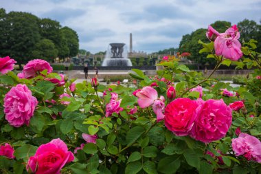 Oslo, Norveç, 20 Haziran 2023: Turistler, Gustav Vigeland 'ın bronz, granit ve dökme demirden yapılmış 200' den fazla parçadan oluşan heykeli ile bilinen Vigeland Heykel Parkı 'nı keşfediyorlar.. 