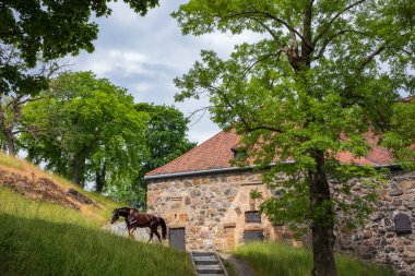 Oslo, Norveç, 19 Haziran 2023: Norveç 'in Oslo kentindeki Akershus Kalesi, Orta Çağ' da şehri korumak ve bir kraliyet konutu sağlamak için inşa edilmiştir. Bakıcılar atları ahırlarına geri götürürler..