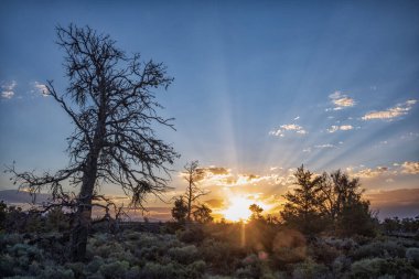 Arco yakınlarındaki Ay Ulusal Anıtı ve Koruması kraterleri, kül koni ve sagebrush adalarından oluşan geniş bir lav akıntısı okyanusudur. Gün batımında güneş ışınları ufukta beliriyor. 