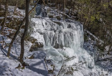 Long Eddy NY yakınlarındaki Bouchoux Patikası, Delaware Nehri 'ni kucaklayan ve kış boyunca birkaç santim kar altında çekilmiş 8 km' lik bir yürüyüş yoludur. Şelale yolun en önemli noktasıdır..