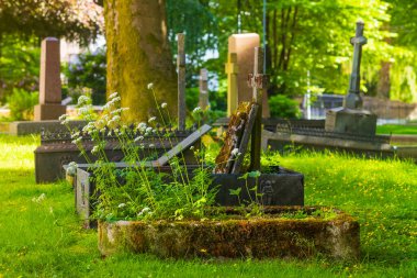 Bergen, Norveç 'te perili olduğunu iddia eden birkaç mezarlık var. Cementerio Bergen 'de bulunan mezar taşını kapatın.. 