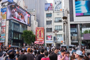 Tokyo, Japonya, 14 Haziran 2024: Dev bir 3D kedi, şehrin Shinjuku semtindeki en işlek tren istasyonları yakınlarındaki 4K çözünürlüklü 1.664 metre karelik LED ekranda canlanıyor.  