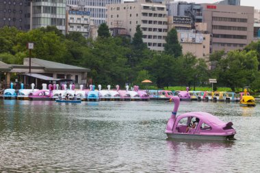 Tokyo, Japonya, 14 Haziran 2024: Tokyo, Taito-ku 'daki Ueno Park' taki Shinobazuno Pond 'da kayık rampaları, bulutlu bir günde görülen kayıklar, bisiklet tekneleri ve kuğu tekneleri. 