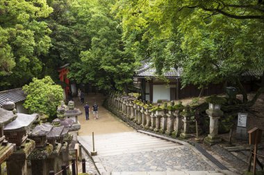 Nara, Japonya, 18 Haziran 2024: 3000 fenerle renkli Kasuga Taisha Tapınağı 'nı keşfetmek. Bu Shinto türbesi Japonya 'nın 