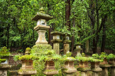 Nara, Japonya, 18 Haziran 2024: 3000 fenerle renkli Kasuga Taisha Tapınağı 'nı keşfetmek. Bu Shinto tapınağı, insansız olarak resmedilmiş, Japonya 'nın 