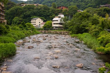Haya Nehri, Japonya 'nın Hakone kenti boyunca akar. Sıcak pınarları, kaplıcaları ve yakınlarındaki Fuji Dağı' nın manzarası nedeniyle popüler bir turizm merkezidir.. 