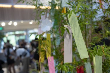 Osaka, Japonya, 23 Haziran 2024: Tanzaku 'ya yazılmış dilekler, küçük kağıt parçaları, Tempozan Pazarı' ndaki bir Japon dilek ağacına asılır.. 