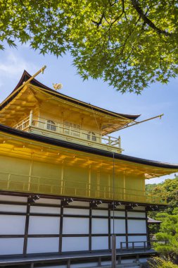 Kyoto, Japonya - 19 Haziran 2024: Kinkakuji (Altın Köşk), altın kaplı bir Budist tapınağıdır.. 