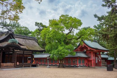 Osaka, Japonya - 25 Haziran 2024: Sumiyoshi Büyük Tapınağı, Sumiyoshi-ku 'da bir Shinto tapınağıdır ve Sumiyoshi tapınaklarının ana tapınağıdır..