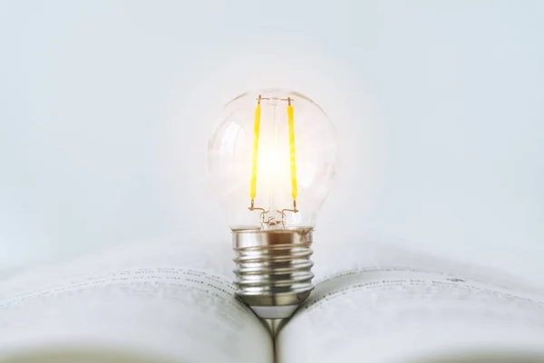 Book or textbook with bright lightbulb. Learning or training skill course or classroom online at home. Conceptual success idea of education knowledge or e-learning