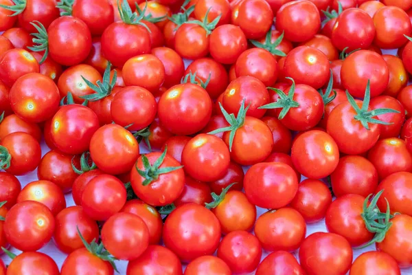 おいしい赤いトマト 有機野菜 選択的な焦点 赤いトマトの背景でいっぱいの夏のトレイ市場農場 ストック画像