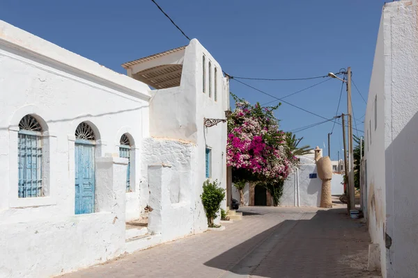 パターンタイルとピンクの花を持つ伝統的な青いドア スギラ リヤド チュニジアのディジェロド ストックフォト
