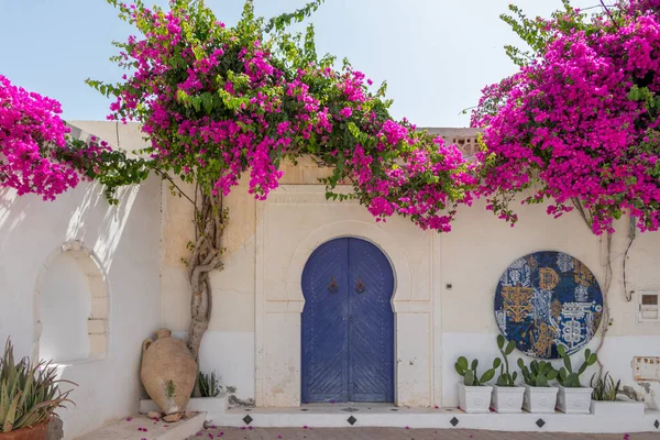 パターンタイルとピンクの花を持つ伝統的な青いドア スギラ リヤド チュニジアのディジェロド ロイヤリティフリーのストック画像