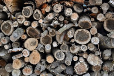 Background. Stacked sawn firewood for a fireplace or stove