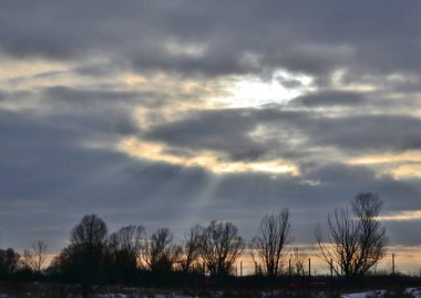 The rays of the sun illuminate the trees in the village through the clouds