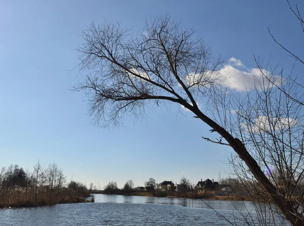 Bela Vista Lago Aldeia Ucraniana Com Uma Árvore Sem Folhas — Fotografia de Stock
