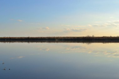Nehrin çayır kıyısı ufkun ötesine geçiyor, fotoğrafı ikiye bölüyor. Nehrin suyunda gökyüzünün yansıması. Gün batımı ışığı.