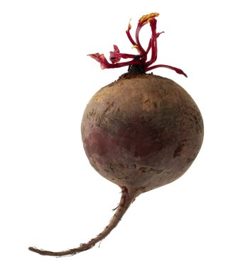 İzolasyonda beyaz bir zemin üzerinde olgunlaşmış pancarlar