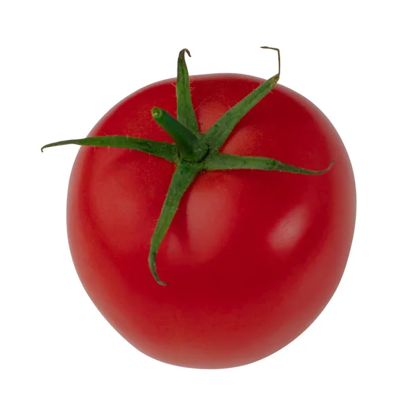 Mogen Röd Tomat Med Grön Kvist — Stockfoto